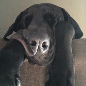 Meet your Posher, Timothy